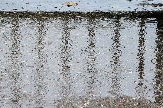 Mirovinben - Quand la pluie fait des ronds dans l'eau...